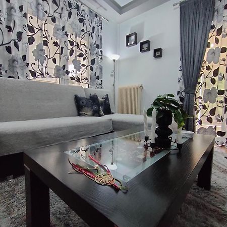 Crestio Apartment Καστοριά エクステリア 写真